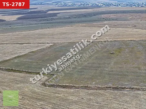 KARS DİGOR DOLAYLI DÜMDÜZ, EKİLİP BİÇİLMEYE UYGUN! 29.900 m²